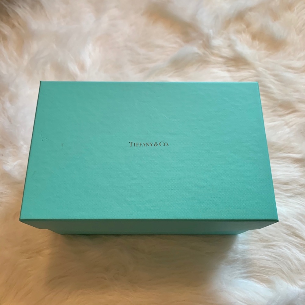Tiffany & Co box (extra large)